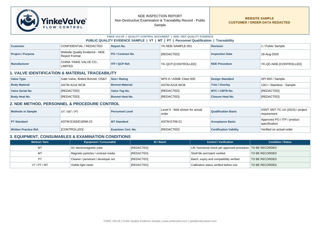 NDE / NDT Inspection Report Sample preview